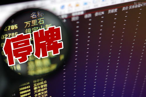 潤和軟件停牌風波 散戶8日豪擲554億熱捧，鴻蒙概念與外包服務雙輪驅動下的資本狂潮