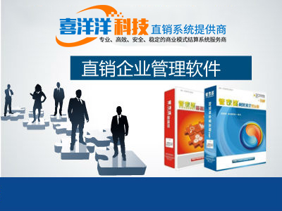 軟件開發、技術開發與制度設計在企業營銷策劃中的集成應用咨詢